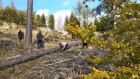 Akce EVVO – Výsadba stromků na lesních plochách postižených suchem a kůrovcovou kalamitou