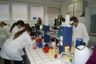 Praktické cvičení z biochemie